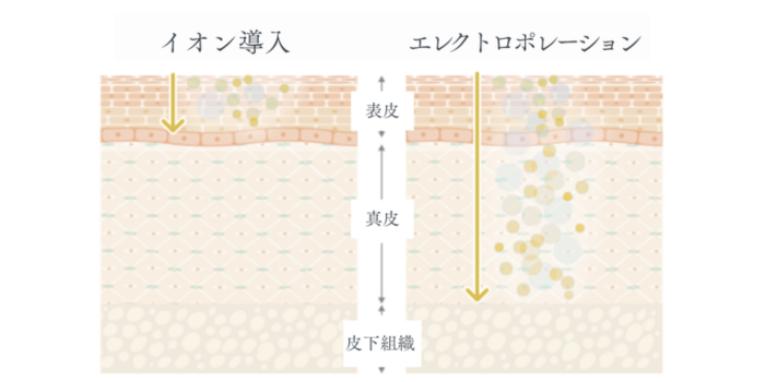 浸透力